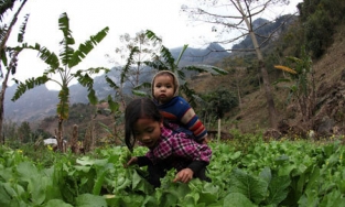 Cô bé dân tộc gùi em đến lớp học năm xưa giờ đã thành du học sinh