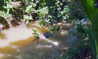 Đồng Nai: Thi thể người phụ nữ lọt mương nước mất tích được tìm thấy