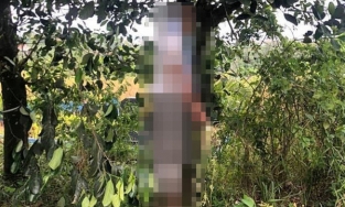 Hà Nội: Bị nghi ăn trộm điện thoại, giáo viên nghỉ hưu tự tử