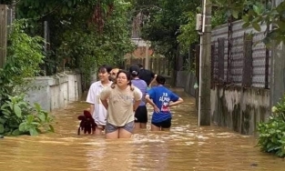 Huế: Hình ảnh chủ cõng chó cưng vượt lũ gây bão cư dân mạng