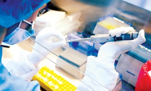 Anh thử nghiệm tiêm vaccine lao để phòng Covid-19