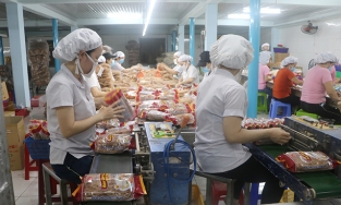 'Đại gia' phồng tôm tăng lãi 70% nhờ xuất khẩu