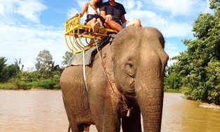 Đắk Lắk sẽ bỏ dịch vụ cưỡi voi để tránh bóc lột động vật