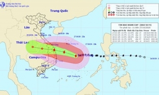 Bão số 9 suy yếu thành áp thấp, gây ngập lụt ở Quảng Ngãi và Quảng Nam