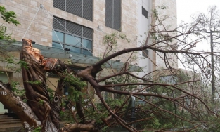 Cập nhật tình hình bão số 9: Mưa gió sẽ dịch dần ra phía Bắc