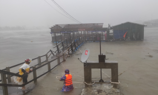 1 người chết trong bão số 9 tại Quảng Ngãi