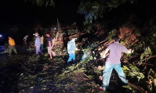 Sạt lở đất ở Quảng Nam: Tìm thấy 8 thi thể tại Trà Leng