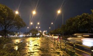 Mưa giông và cây đổ hàng loạt bất thường tại TP.HCM