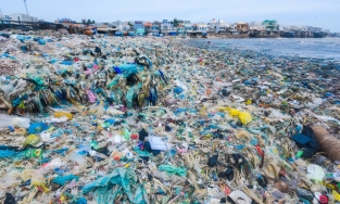 500 xe container rác đổ xuống biển Địa Trung Hải mỗi năm