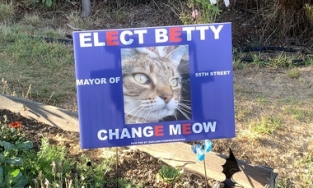 Các ứng viên chó mèo cạnh tranh khốc liệt để giành chức 'Chủ tịch khu phố'