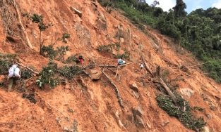 6 thi thể trẻ nhỏ trong 13 nạn nhân vụ sạt lở đất ở Phước Sơn, Quảng Nam