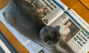 50 khoảnh khắc các vị 'boss' hóa thân thành lũ 'quỷ sứ giặc non' 