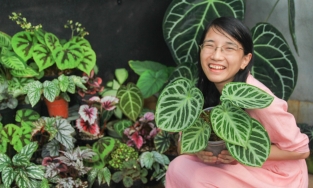 Nữ designer vì yêu rừng mà cải tạo nhà kho thành nhà vườn mini, trồng kiểng lá xanh tươi mướt mắt