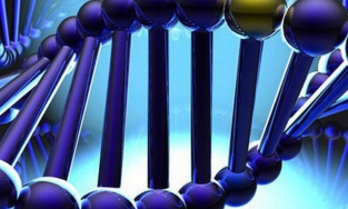 Vingroup công bố Hệ thống quản lý, phân tích gen người Việt