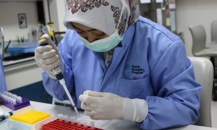 Đã tìm ra cách diệt virus sốt xuất huyết