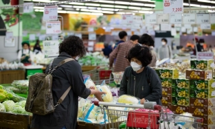 Cánh đồng cải thảo bị tàn phá gây ra cuộc khủng hoảng kim chi ở Hàn Quốc