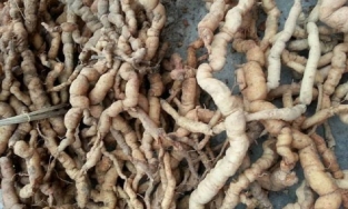 Vụ U40 cương dương 30 tiếng: Chuyên gia khẳng định không thể do ba kích