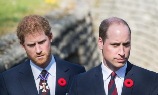 Mâu thuẫn giữa William và Harry làm Hoàng gia 'đau' như cái chết của Diana