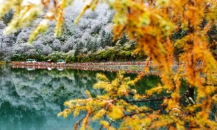 Thung lũng Bipenggou khi vào thu như cảnh thần tiên chốn hạ giới