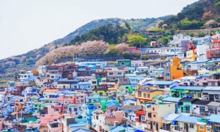 Ngoài Seoul, 7 thành phố này cũng rất đáng để bạn ghé thăm khi tới Hàn Quốc