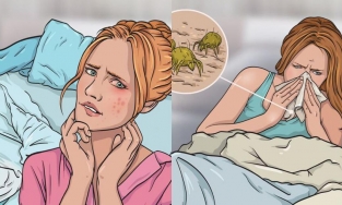 Những tác hại khôn lường khi không giặt vỏ gối, chăn ga thường xuyên