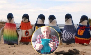 Cụ ông 109 tuổi vẫn dành thời gian hàng ngày để đan áo len cho những chú chim cánh cụt