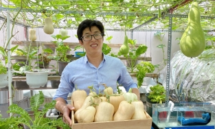 Ông bố 8X biến sân thượng thành mảnh vườn 30m² ngập tràn rau củ, tạo sân chơi lành mạnh cho con