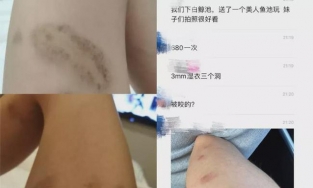 Cá voi, đười ươi bị biến thành nô lệ của con người