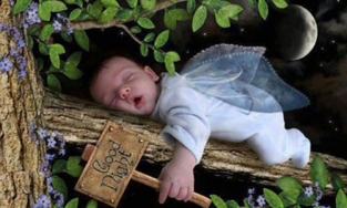 Khi chúng ta ngủ, cơ thể đã lén lút làm những gì?