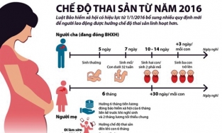 Thôi việc trước khi sinh có được hưởng chế độ thai sản hay không?