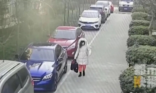 Cải trang thành phụ nữ lấy hơn 2 tỷ đồng của vợ