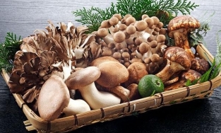 Những lỗi sơ chế nấm khiến món nấm trở nên mất ngon!