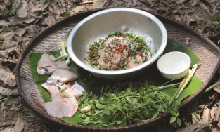 Gỏi kiến vàng - món ăn ngon trứ danh của người Rơ Măm