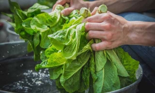 3 mẹo giúp rau héo trở nên tươi ngon hơn để dùng trong trường hợp cần kíp
