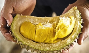 Cách ăn sầu riêng tận dụng cả hạt và vỏ cho tín đồ 'trái cây vua'