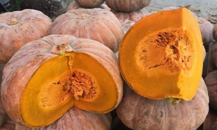 Bỏ túi ngay mẹo gọt vỏ bí ngô nhanh chóng lại cực dễ dàng tại nhà