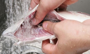 Mẹo khử hết vị đắng từ mật cá mà người nội trợ nào cũng nên biết