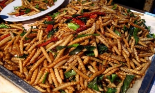 Sâu măng, món ngon đặc sản ở Mường Lát nhưng không phải ai cũng dám thử