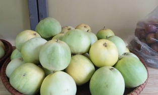 Mẹo chọn mua dưa lê ngon, đảm bảo quả nào cũng đặc ruột, ngọt lịm