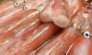 6 mẹo chọn mua mực và bạch tuộc: Đảm bảo chọn 10 con tươi ngon cả 10, lại không ngâm hóa chất