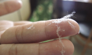 Sự thật về bụi bẩn trong nhà: 70% - 80% là da chết?