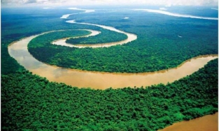 Tại sao không có cây cầu nào bắc qua sông Amazon?