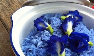 Các món ăn từ hoa 'quen mà lạ' tuyệt ngon của ẩm thực Việt