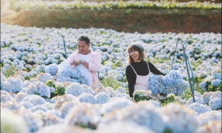 5 địa điểm du lịch trong nước nên ghé cho chuyến đi cuối năm 2020