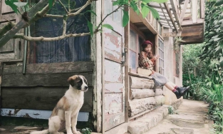 Sống chậm lại cùng 5 homestay an yên tại xứ hoa Đà Lạt