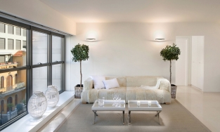 Trồng cây - cách dễ dàng và hiệu quả để kéo thiên nhiên vào không gian sống