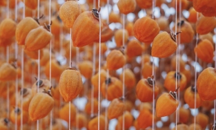 Hồng treo gió: Từ đặc sản Nhật Bản đến món Việt được ưa thích vào mùa Thu