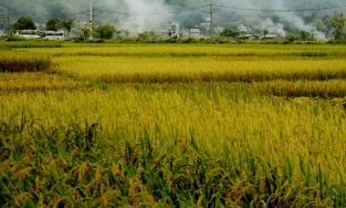 Một ngày đi trốn nhẹ nhàng nhưng thi vị ở Mai Châu