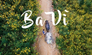 Các địa điểm du lịch gần Hà Nội vừa thú vị, vừa có thể đi về trong ngày