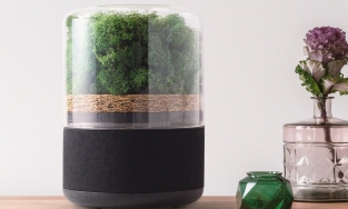 Briiv, máy lọc không khí có khả năng lọc tương đương 3.043 cây cảnh